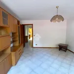 Rent 3 bedroom apartment of 100 m² in Castelfranco Veneto