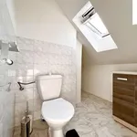 Rent 3 bedroom apartment of 105 m² in Plzeň