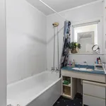 Rent 1 bedroom apartment in Ōrākei