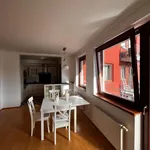 Rent 3 bedroom apartment of 99 m² in Praha 4 - Krč