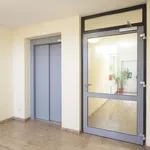 Rent 1 bedroom apartment of 52 m² in berlin