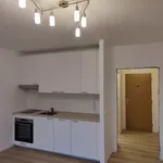 Rent 1 bedroom apartment of 30 m² in Brno