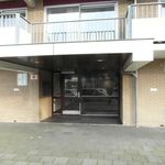 Grote Beer, Amstelveen - Amsterdam Apartments for Rent