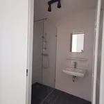 Huur 1 slaapkamer appartement van 59 m² in Amsterdam