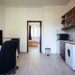 Pronajměte si 1 ložnic/e byt o rozloze 50 m² v Prague