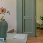 Rent 2 bedroom apartment of 50 m² in Pisa