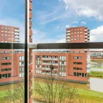 Rent 2 bedroom apartment of 65 m² in Geeren-noord