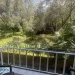 Rent 5 bedroom apartment of 100 m² in Genoa