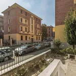 Rent 4 bedroom apartment in Bologna