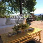 Rent 8 bedroom house of 250 m² in Monte Argentario