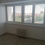 Rent 2 bedroom apartment of 34 m² in Ostrava