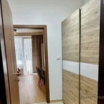 Rent 1 bedroom apartment of 33 m² in Capital City of Prague