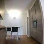 Rent 3 bedroom apartment of 115 m² in Milan