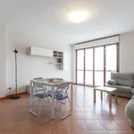 Rent 1 bedroom apartment of 68 m² in milano