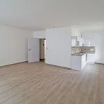 Pronajměte si 1 ložnic/e byt o rozloze 42 m² v Pilsen