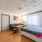 Rent 2 bedroom apartment in Zlín