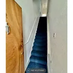 Rent 4 bedroom flat in East Of England