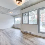  appartement avec 1 chambre(s) en location à Montreal