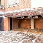 Rent 4 bedroom apartment in Rome