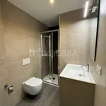 Rent 3 bedroom apartment of 109 m² in Milano