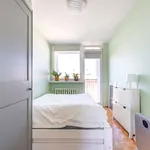 Rent 2 bedroom apartment of 36 m² in Łódź