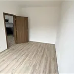 Pronajměte si 2 ložnic/e byt o rozloze 52 m² v Prague