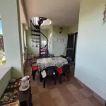 Rent 3 bedroom apartment of 70 m² in Roma