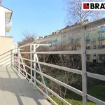 Rent 1 bedroom apartment of 15 m² in Brno