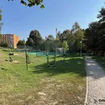 Pronájem bytu 2+kk s balkonem (45 m2), Nové Město na Moravě