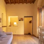 Rent 2 bedroom apartment of 60 m² in Florence