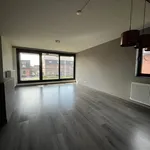 Rent 2 bedroom apartment in Minderhout