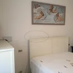 Rent 2 bedroom apartment of 50 m² in Viareggio