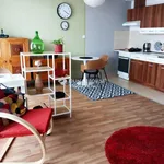 Rent 1 bedroom apartment in Budapest