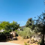 Rent 3 bedroom apartment of 140 m² in Νησί