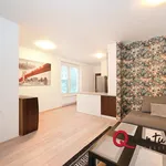 Rent 2 bedroom apartment of 56 m² in Prague