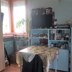 Rent 1 bedroom apartment of 38 m² in Torino