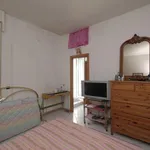 Rent 1 bedroom apartment in Rome