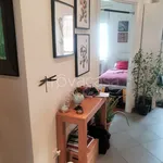 Rent 3 bedroom apartment of 100 m² in Torino