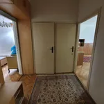 Rent 2 bedroom apartment in Brno