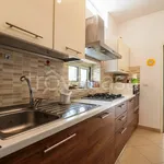 Rent 2 bedroom apartment of 60 m² in Peschici