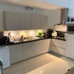 Rent 2 bedroom apartment of 85 m² in Haarlem