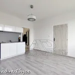 Rent 1 bedroom apartment in Tábor