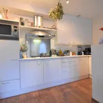 Rent 1 bedroom apartment of 55 m² in Maastricht