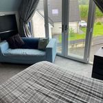 Rent 5 bedroom house in Scotland