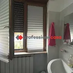 Rent 3 bedroom apartment of 80 m² in Campobasso