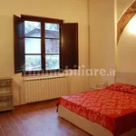 Apartment excellent condition, ground floor, Calcinaia