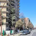 Rent 2 bedroom apartment of 40 m² in San Donato Milanese