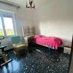 Rent 4 bedroom apartment of 90 m² in Savona