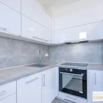 Rent 1 bedroom apartment in Chrudim