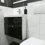 Rent 1 bedroom apartment of 36 m² in Louny